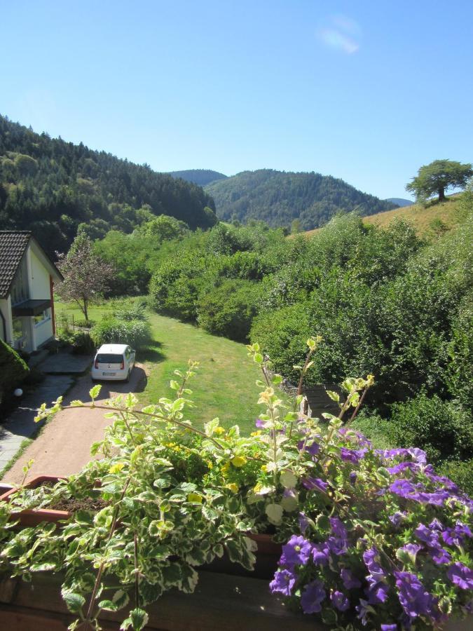 Ferienwohnungen Schwabenhof Schramberg Eksteriør billede